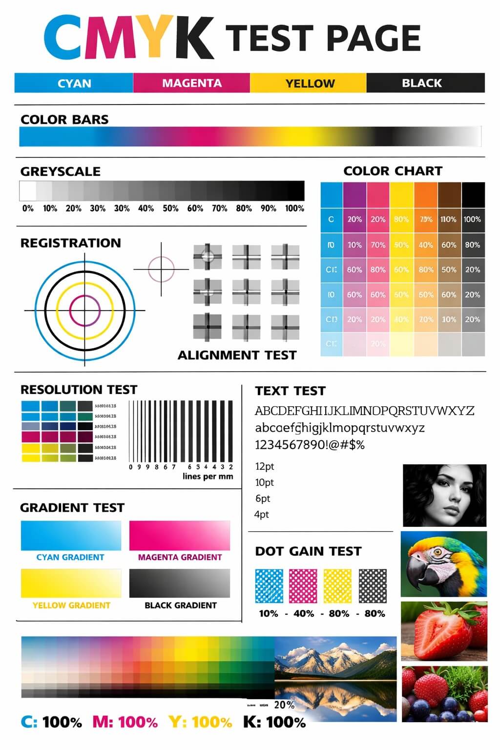 CMYK Gradient Alignment Test Pattern